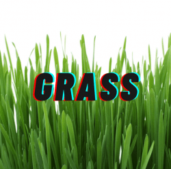 Surface Fee (Grass)