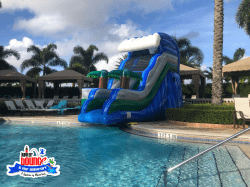 2 1641821152 17' Tropical Pool Slide