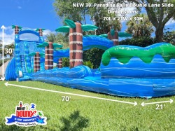 30' Paradise Falls Double Lane Slide**