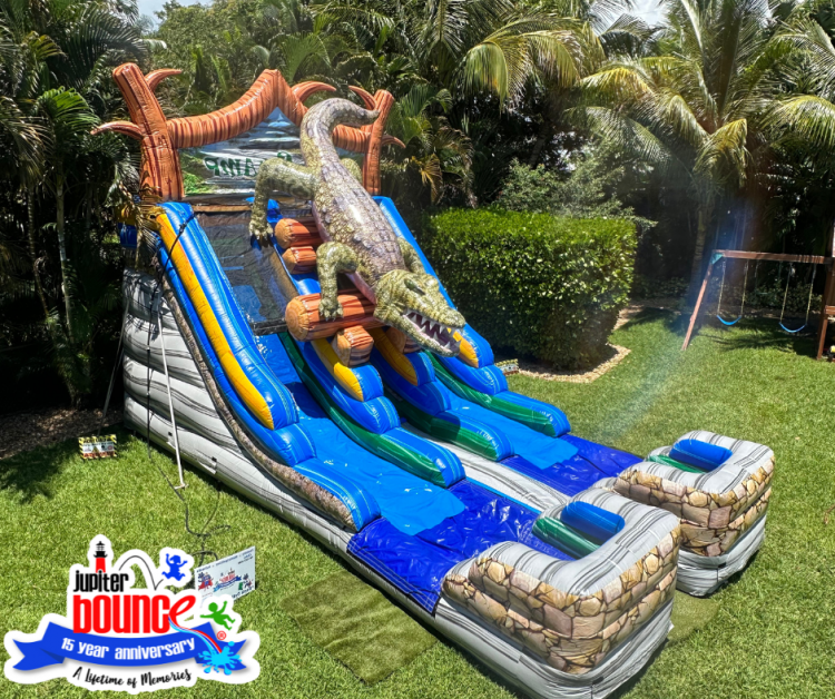 The Gator Swamp Double Lane Slide