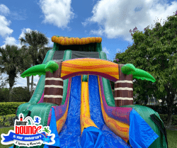 Mardi20Party20Dry 1717528825 NEW 25' Mardi Party Slide ONLY (DRY)