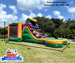 Party Animal Combo Actual Photo 3 Dimensions1 1721930494 NEW Party Animal Combo