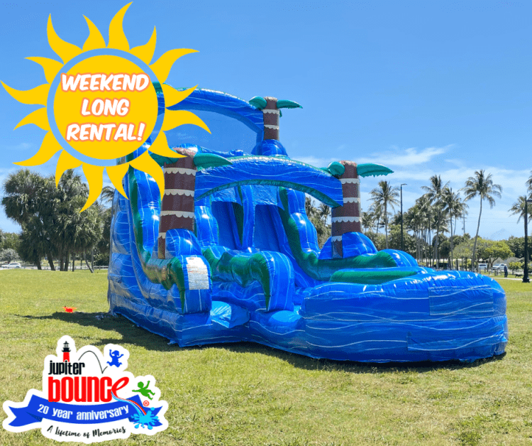20' Blue Heron Double Lane Slide 20' Blue Heron Double Lane Slide