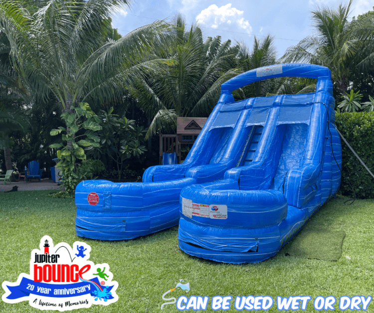 Blue Lagoon Double Lane Slide Blue Lagoon Double Lane Slide