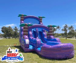 20' Paradise Pointe Double Lane Slide