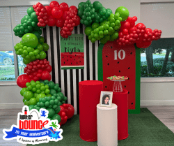 Deluxe Party Decor Package